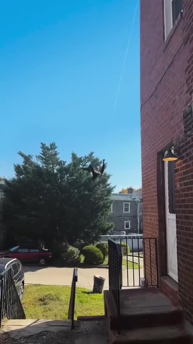 TikTok Preview 1